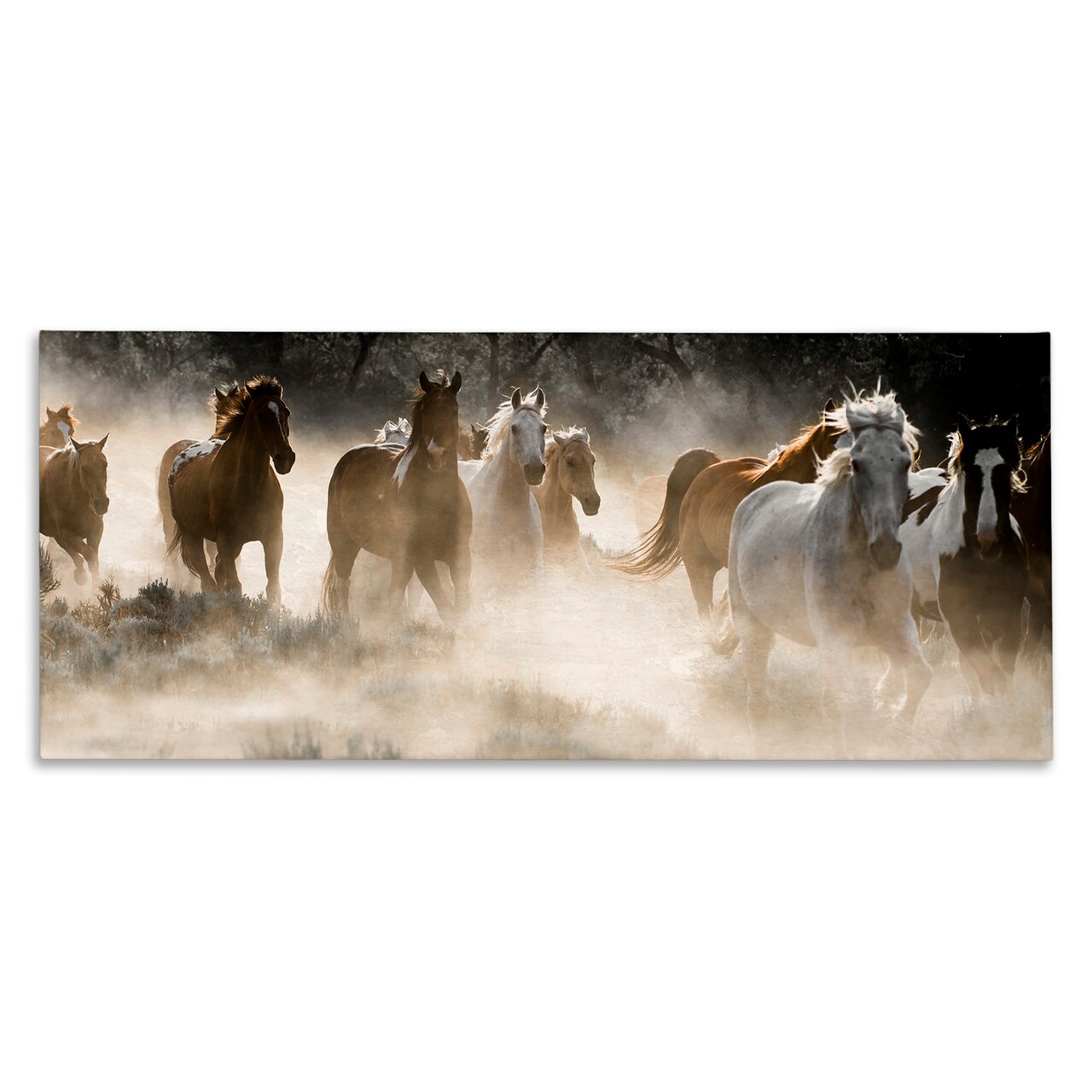 Stupell Industries Striking Horse Herd Galloping Canvas Wall Art